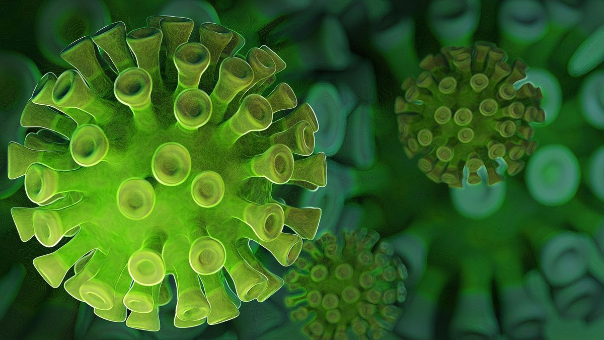 Jaký bude podzimní koronavirus? V čase se mění, už vládne jiná verze než čínská